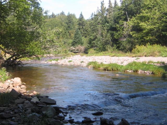 Moore'S Specialties Fundy Bay House Rental Gardner Creek Dış mekan fotoğraf