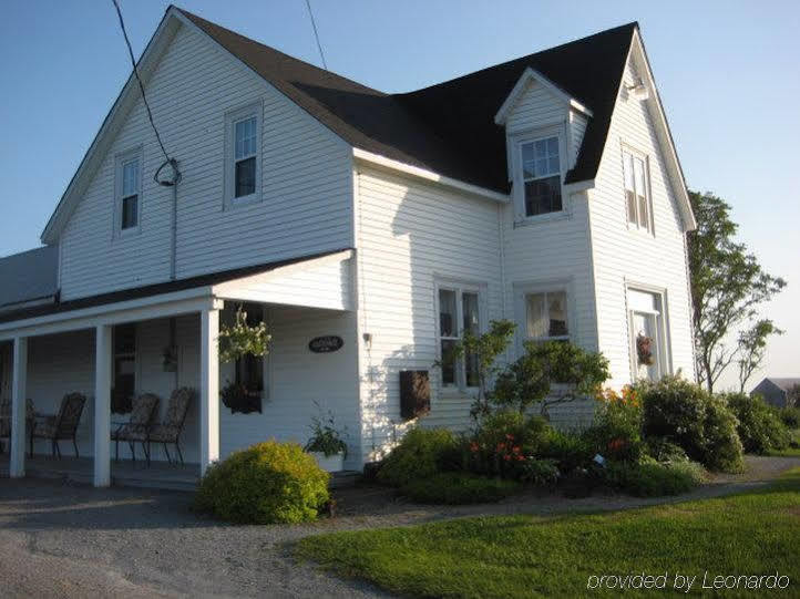 Moore'S Specialties Fundy Bay House Rental Gardner Creek Dış mekan fotoğraf