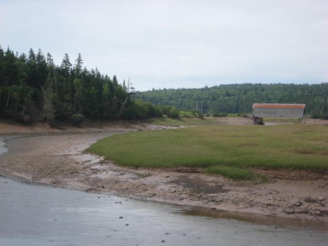 Moore'S Specialties Fundy Bay House Rental Gardner Creek Dış mekan fotoğraf